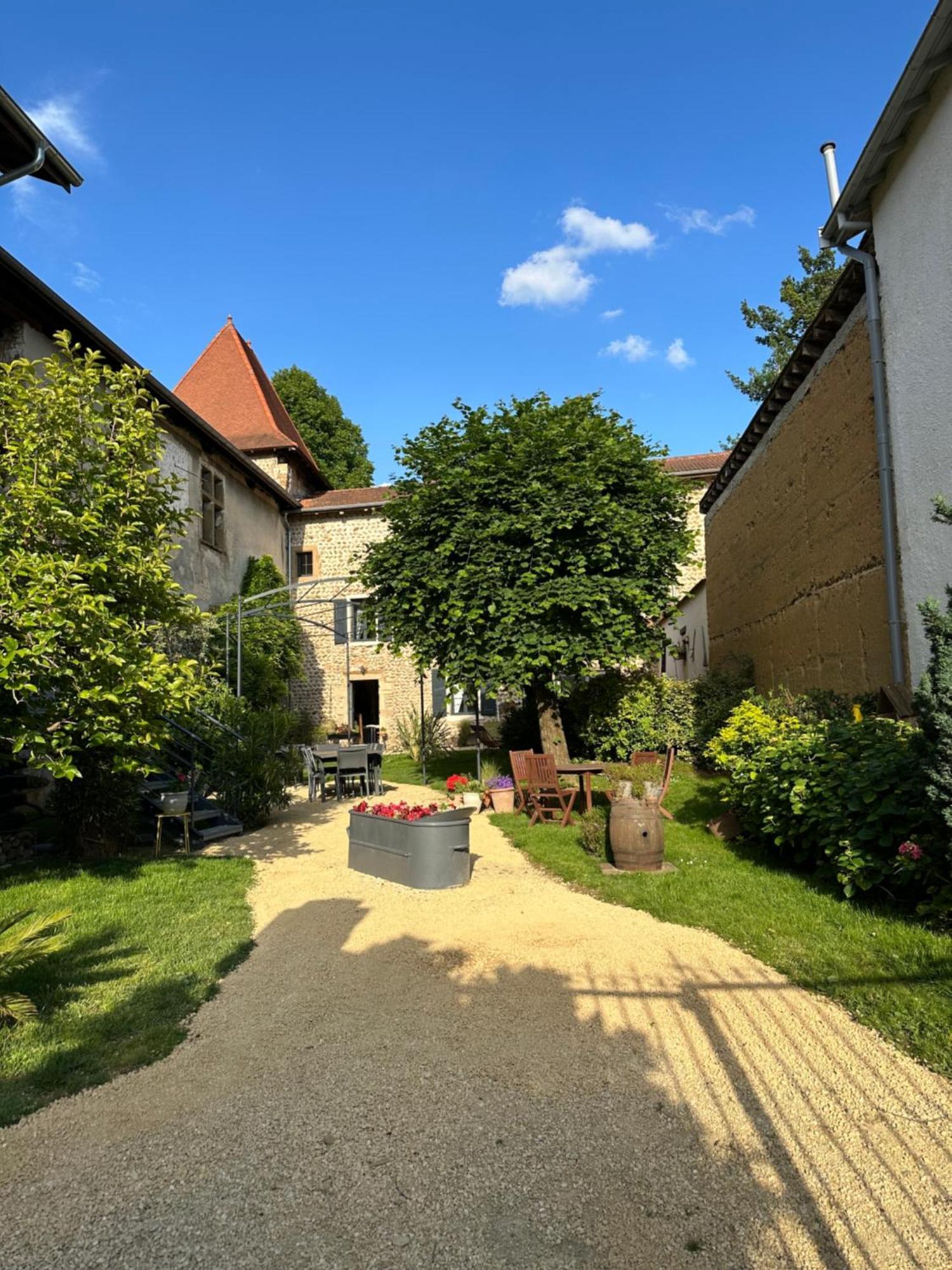 Chateau De La Saone Lens-Lestang Exterior photo